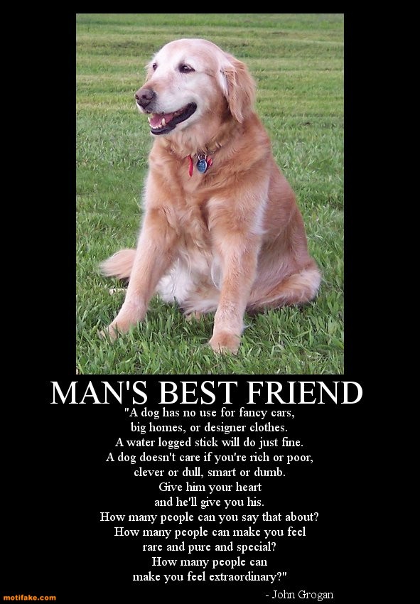 quotes about dogs being best friends